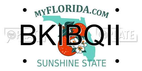 BKIBQII Florida License Plate