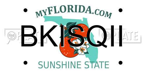 BKISQII Florida License Plate