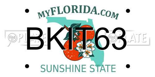 BKIT63 Florida License Plate