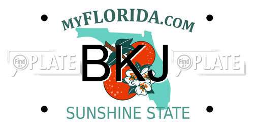 BKJ Florida License Plate