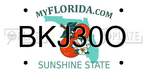 BKJ30O Florida License Plate
