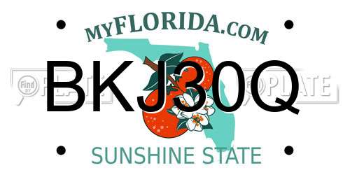 BKJ30Q Florida License Plate