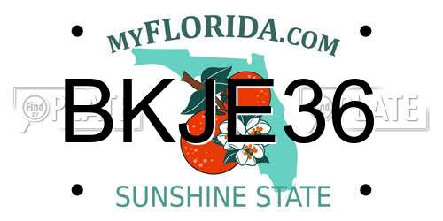 BKJE36 Florida License Plate