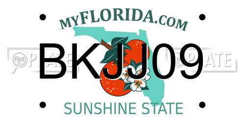 BKJJ09 Florida License Plate