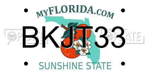 BKJT33 Florida License Plate