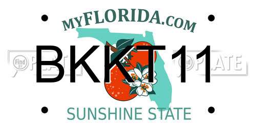 BKKT11 Florida License Plate