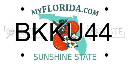 BKKU44 Florida License Plate