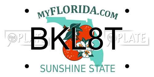 BKL8T Florida License Plate