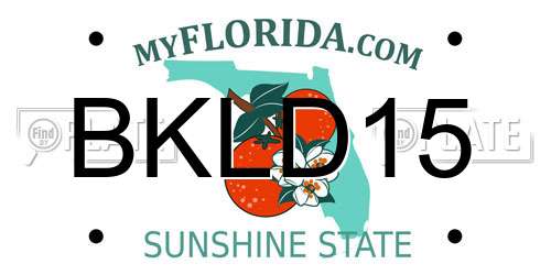 BKLD15 Florida License Plate