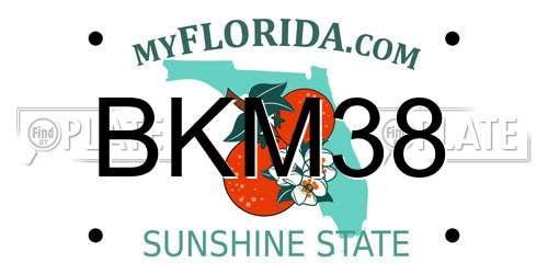 BKM38 Florida License Plate