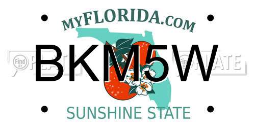 BKM5W Florida License Plate