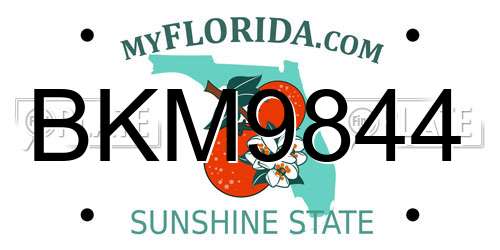 BKM9844 Florida License Plate
