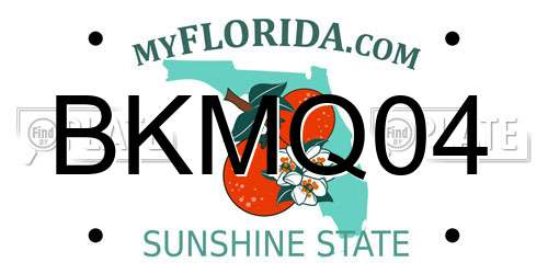 BKMQ04 Florida License Plate