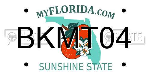 BKMT04 Florida License Plate