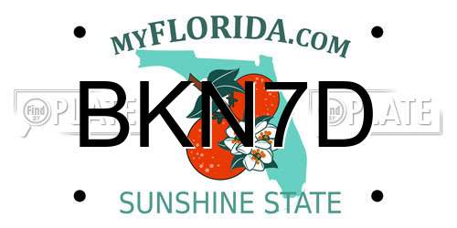 BKN7D Florida License Plate