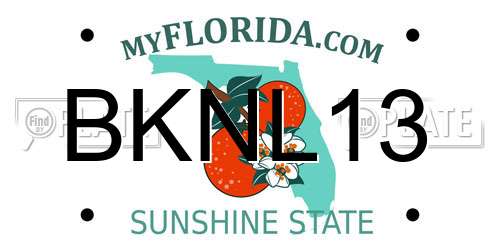 BKNL13 Florida License Plate
