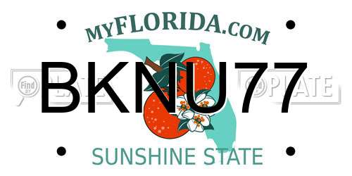 BKNU77 Florida License Plate