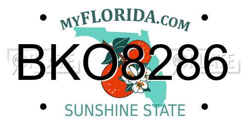 BKO8286 Florida License Plate