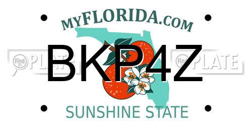 BKP4Z Florida License Plate