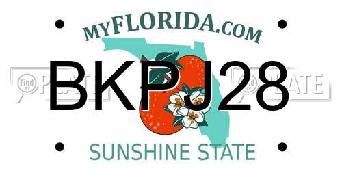 BKPJ28 Florida License Plate