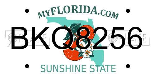 BKQ8256 Florida License Plate