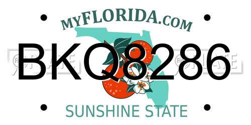 BKQ8286 Florida License Plate