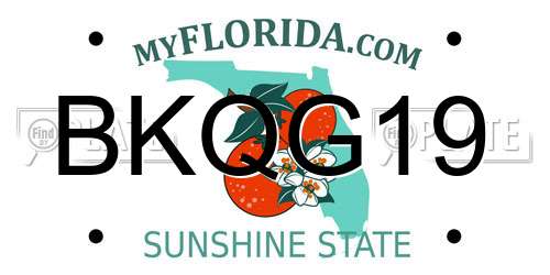 BKQG19 Florida License Plate