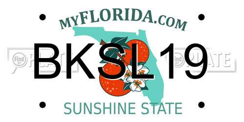 BKSL19 Florida License Plate