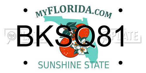 BKSQ81 Florida License Plate