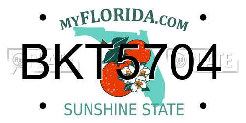 BKT5704 Florida License Plate