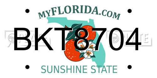 BKT8704 Florida License Plate