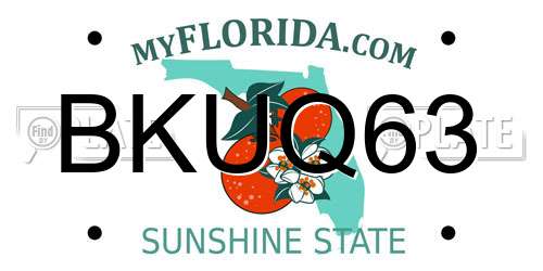 BKUQ63 Florida License Plate