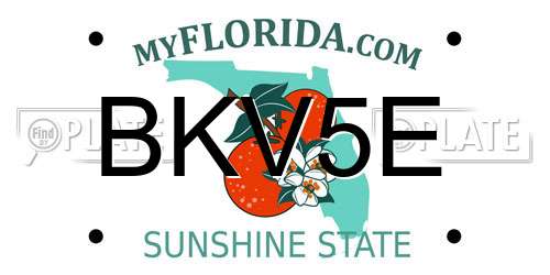 BKV5E Florida License Plate