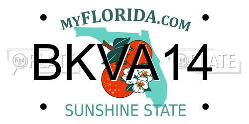 BKVA14 Florida License Plate