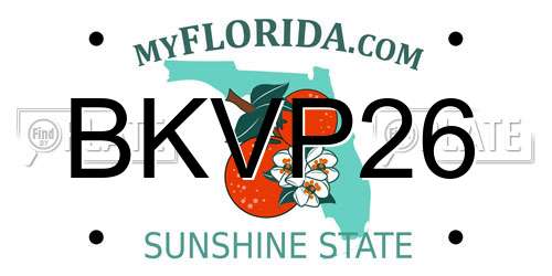 BKVP26 Florida License Plate