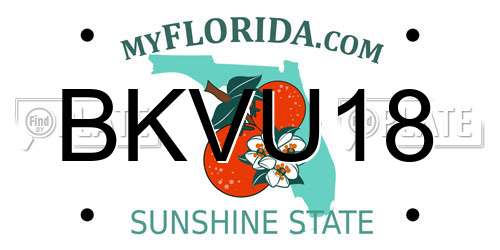 BKVU18 Florida License Plate
