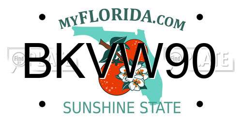 BKVW90 Florida License Plate