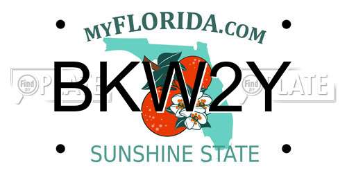 BKW2Y Florida License Plate