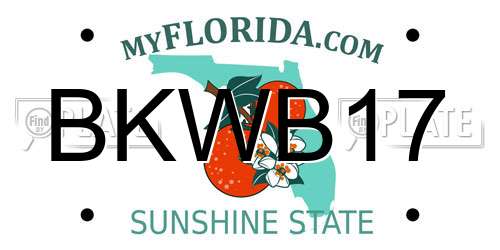 BKWB17 Florida License Plate