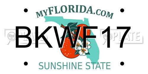 BKWF17 Florida License Plate