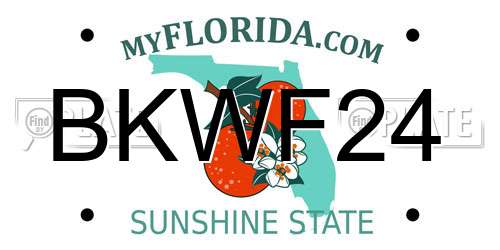 BKWF24 Florida License Plate