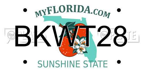 BKWT28 Florida License Plate