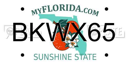 BKWX65 Florida License Plate