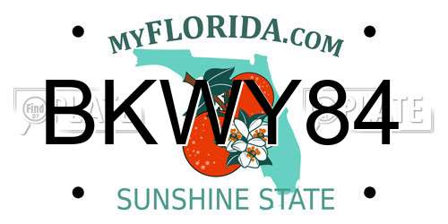 BKWY84 Florida License Plate