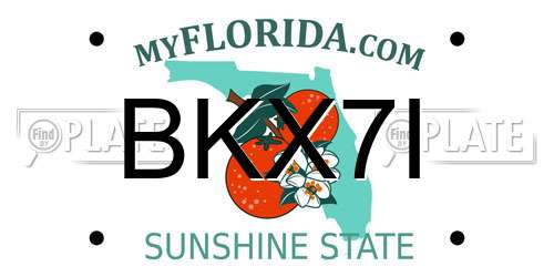 BKX7I Florida License Plate