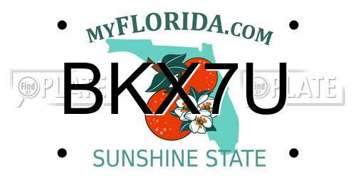 BKX7U Florida License Plate