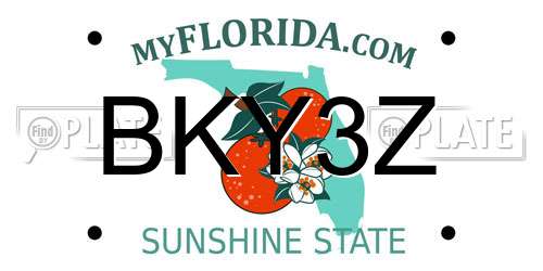 BKY3Z Florida License Plate