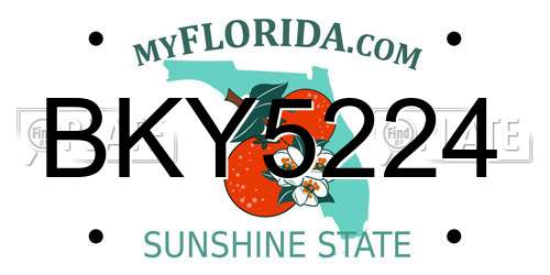 BKY5224 Florida License Plate