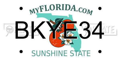 BKYE34 Florida License Plate