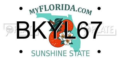 BKYL67 Florida License Plate